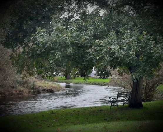 SutterCreek Campground LLC