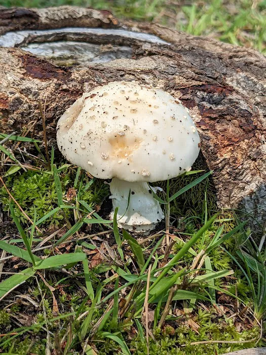 Beulah Park Campground 3