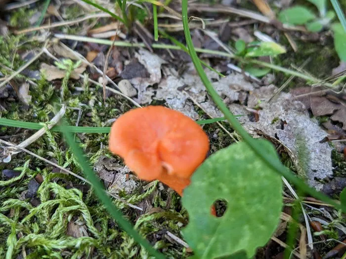 Beulah Park Campground 6