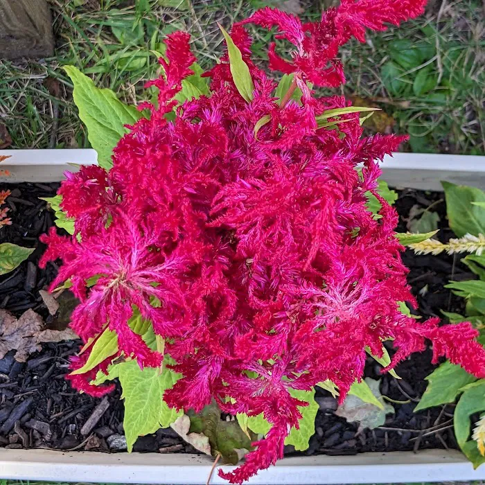 Beulah Park Campground 9