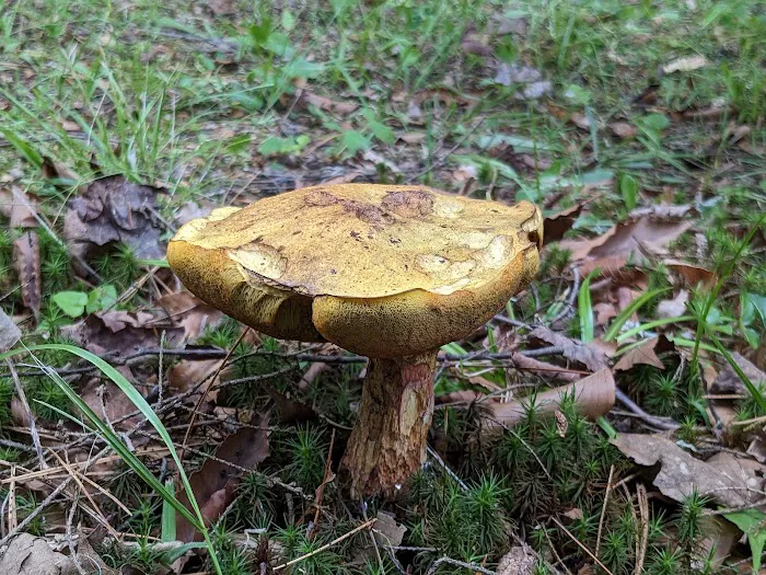 Beulah Park Campground 7