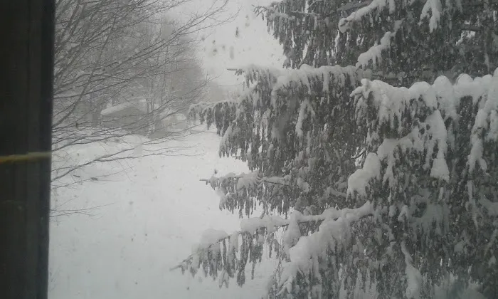 Beulah Park Campground 4