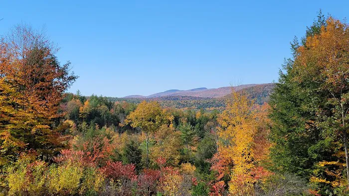 Queen Village Camp Ground 3