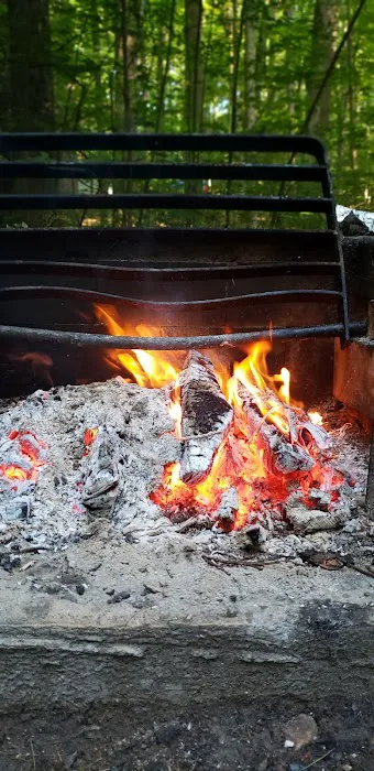 Camp Hearthstone | Thornwood Trailer Court 4