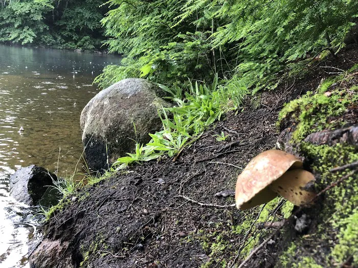 Indian Lake Islands Campground - Campsite #47 7