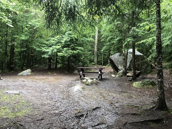 Indian Lake Islands Campground - Campsite #47 4