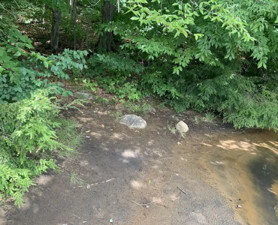 Indian Lake Islands Campground - Campsite #42