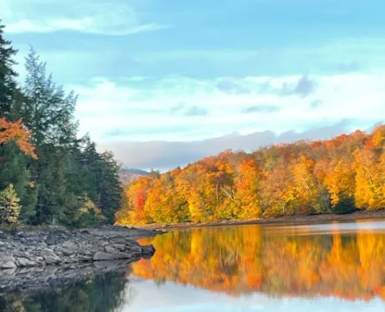Indian Lake Islands Campground - Campsite # 31
