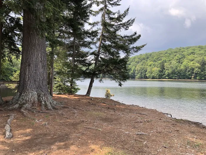 Indian Lake Islands Campground - Campsite # 31 5