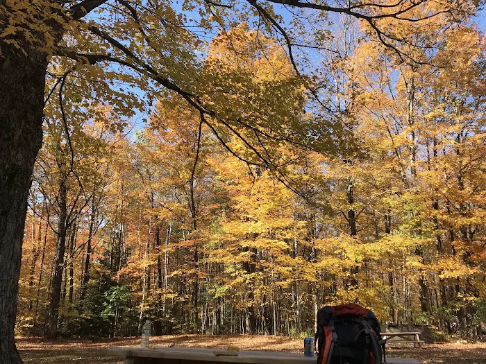 Dippikill Wilderness Retreat 9