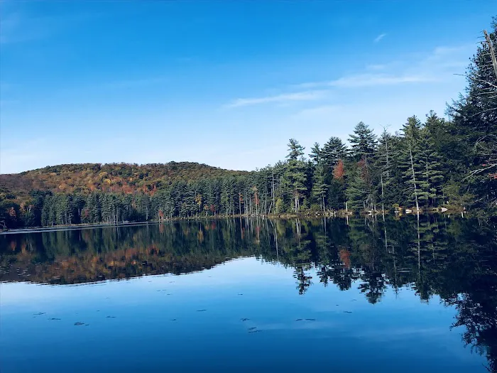 Dippikill Wilderness Retreat 6