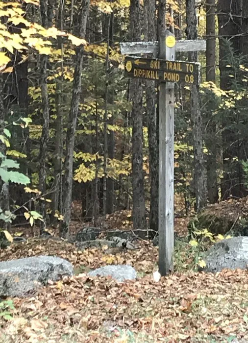 Dippikill Wilderness Retreat 3