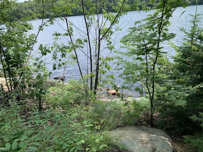 Indian Lake Islands Campground - Campsite #20 0