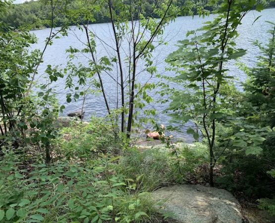 Indian Lake Islands Campground - Campsite #20