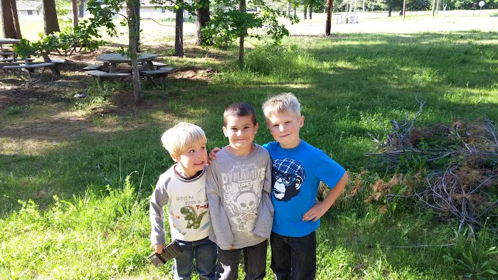 Pine Lane Cottages and Cabins 2