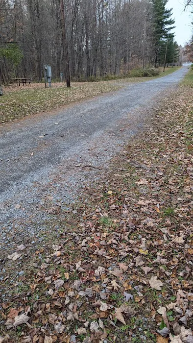 Remington Park Tent Campground 2