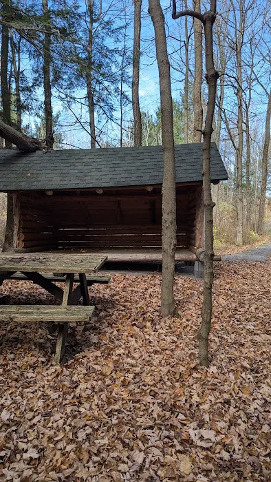Adirondack Lean-tos Campsites 4