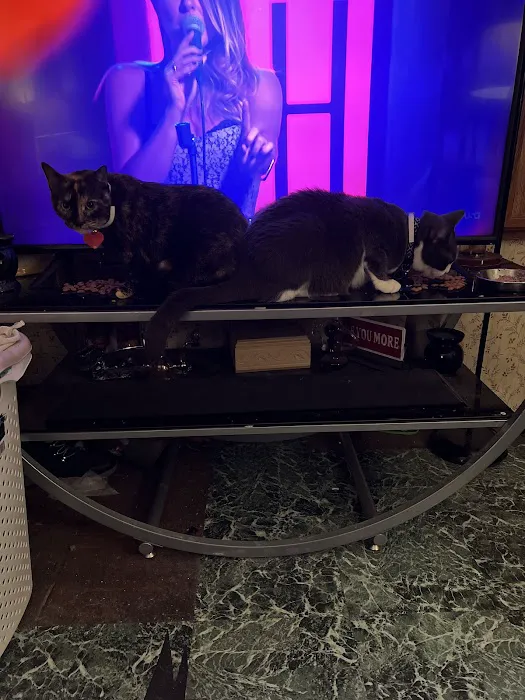 Black River Estates 0