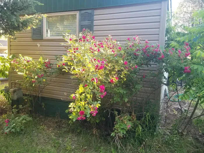 Northland Park Inc. 3