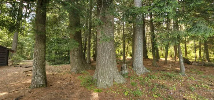 Tioga Point Campground - Lean-To - Site #7 6