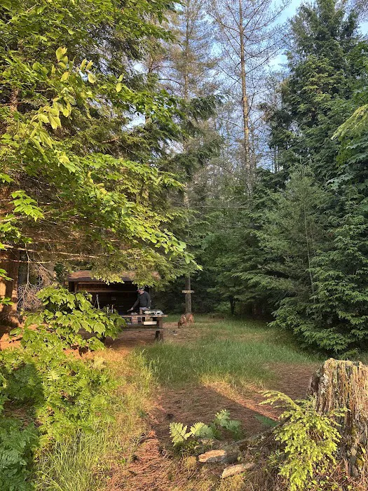 Tioga Point Campground - Lean-To - Site #8 5