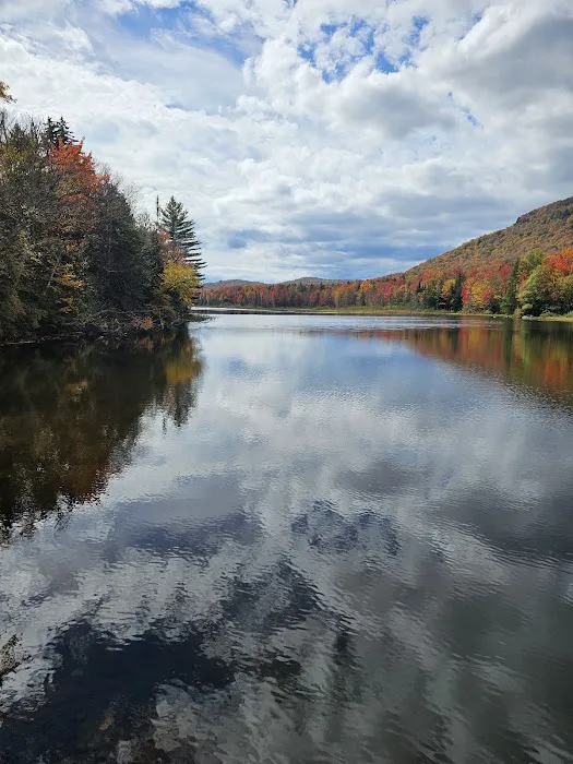 Cedar River Campsites 2