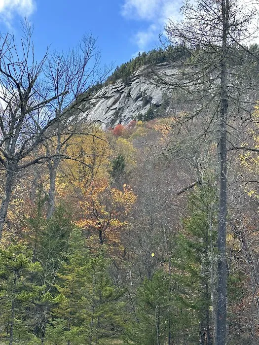 Cedar River Campsites 9