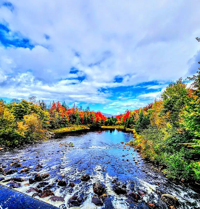 Cedar River Campsites 4