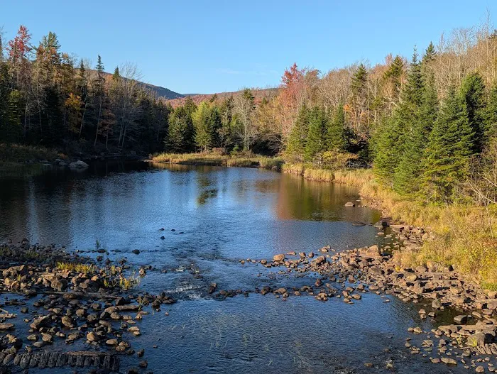 Cedar River Campsites 6