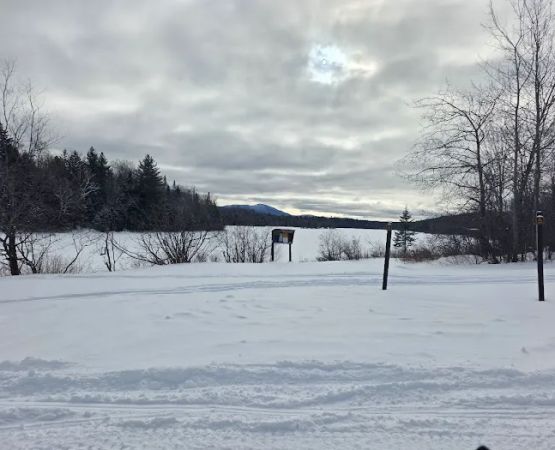 Cedar River Campsites