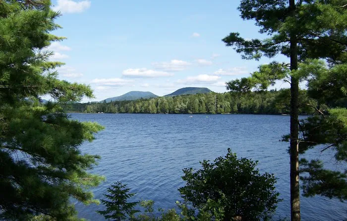 Forked Lake Site 52 2