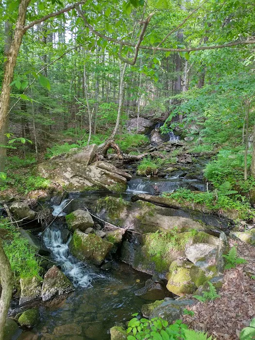 Crown Point Camping Area 1