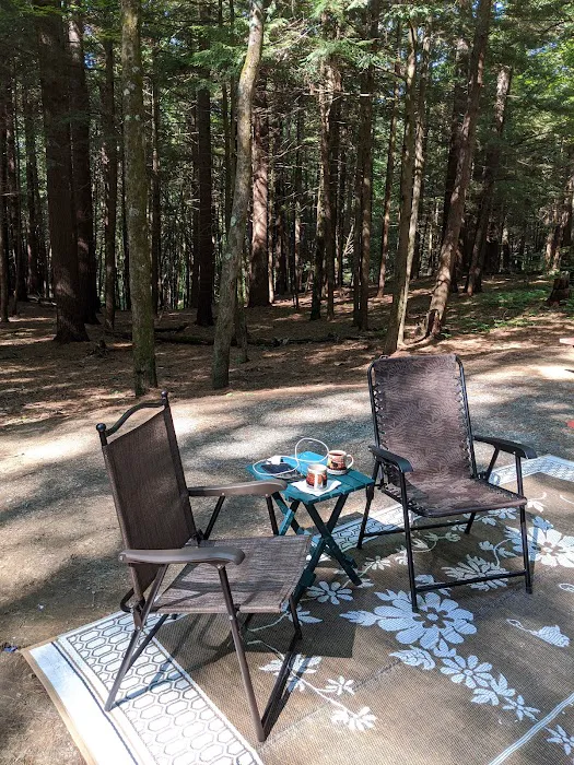 Crown Point Camping Area 4