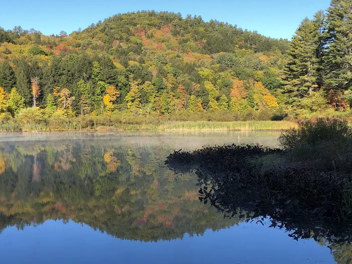 Crown Point Camping Area 8