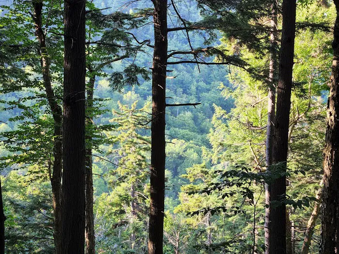 Mount Ascutney State Park Campground 1