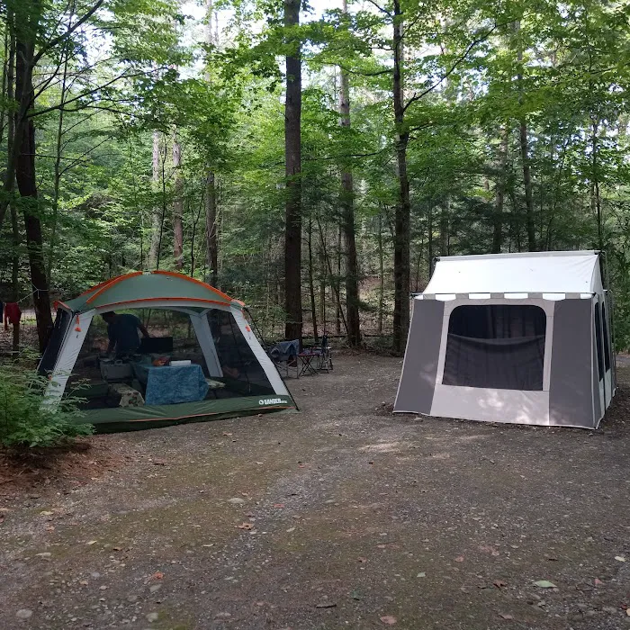 Mount Ascutney State Park Campground 4