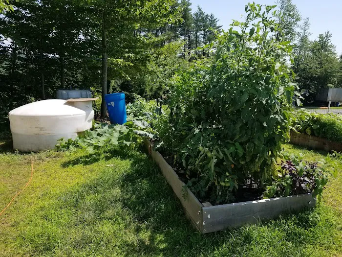 Running Bear Camping Area 3