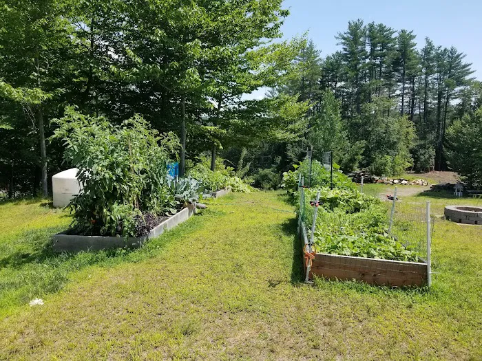 Running Bear Camping Area 5