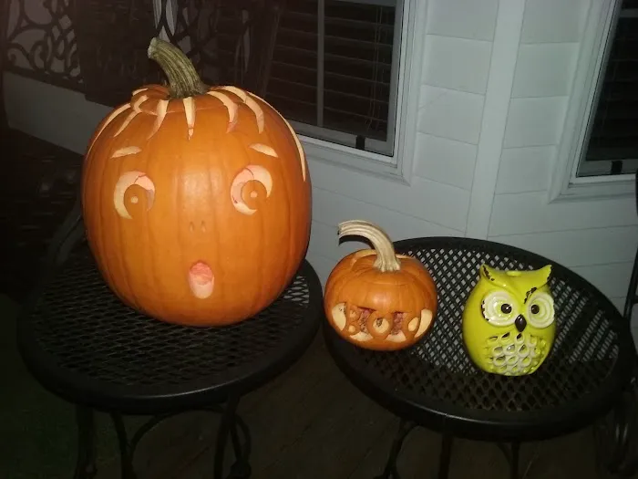 Pleasant Valley Estates Mobile 1