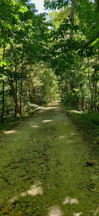 Marble Quarry Campsite 3