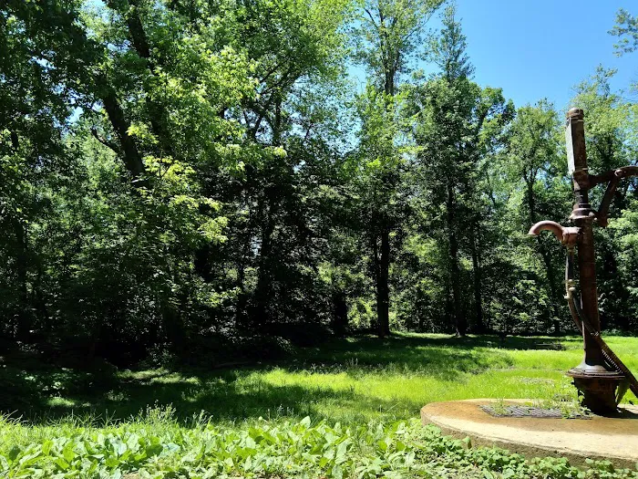 Calico Rocks Campsite 8