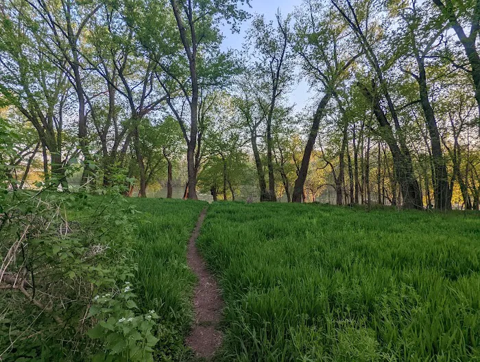 Calico Rocks Campsite 7