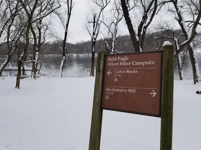 Bald Eagle Hiker Camper Campsite 7