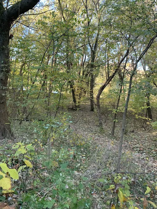 Bald Eagle Hiker Camper Campsite 9