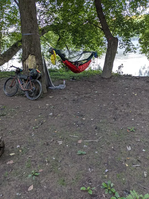 Bald Eagle Hiker Camper Campsite 5