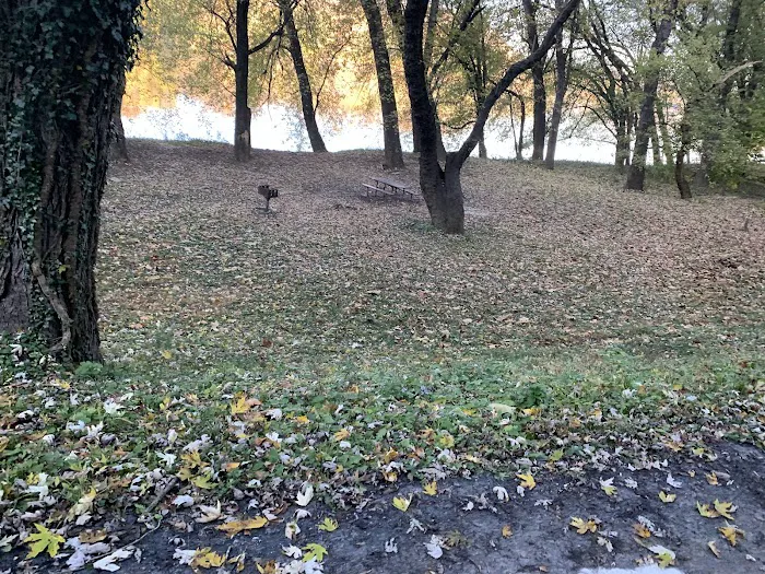 Bald Eagle Hiker Camper Campsite 8