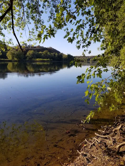 Bald Eagle Hiker Camper Campsite 1