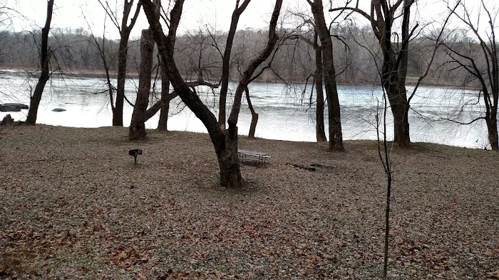 Bald Eagle Hiker Camper Campsite 2