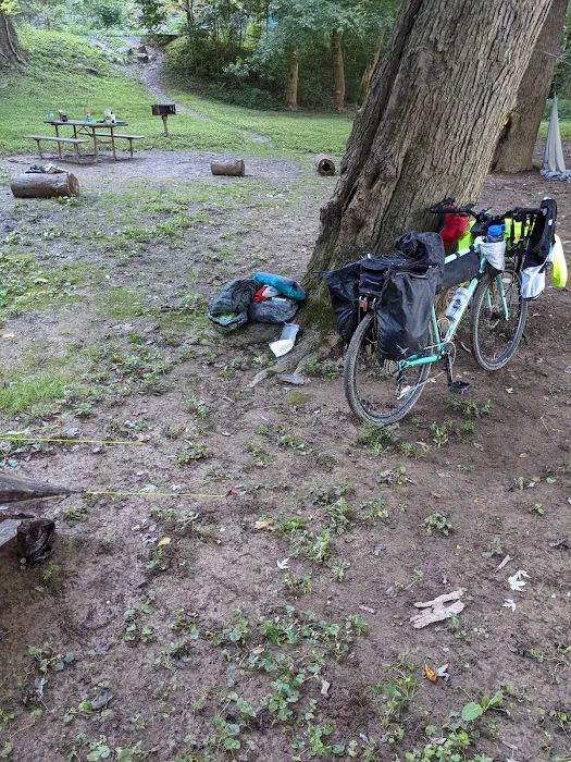 Bald Eagle Hiker Camper Campsite 4