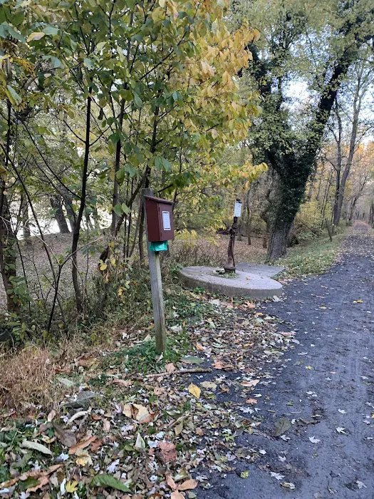 Bald Eagle Hiker Camper Campsite 3